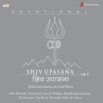 Shiv Upasana, Vol. 4 - Mithoon Song Download